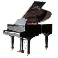 Weber W150 Акустический рояль