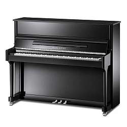 Pearl River EU118A111 Акустическое пианино