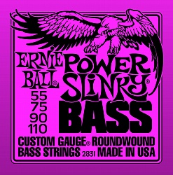 ERNIE BALL 2831 Струны для бас-гитары 055-110
