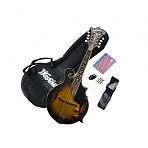 Washburn M3EK Мандолина