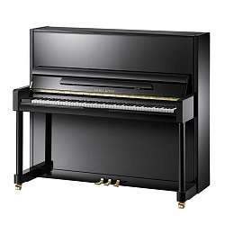 Pearl River EU131A111 Акустическое пианино